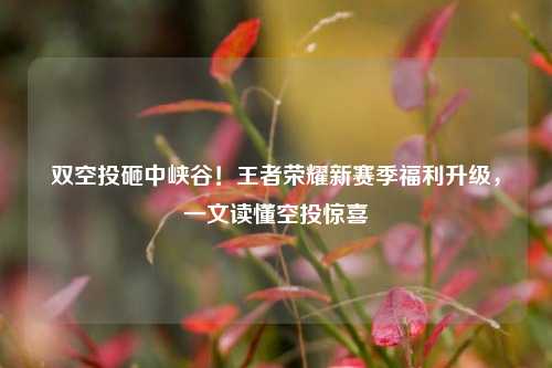 双空投砸中峡谷!王者荣耀新赛季福利升级,一文读懂空投惊喜