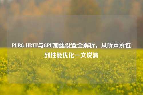 PUBG HRTF与GPU加速设置全解析,从听声辨位到性能优化一文说清