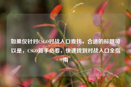如果仅针对CSGO对战入口查找,合适的标题可以是,CSGO新手必看,快速找到对战入口全指南