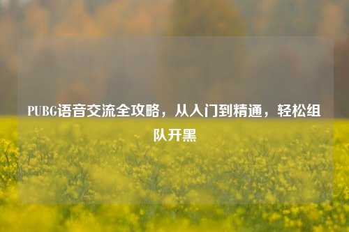 PUBG语音交流全攻略,从入门到精通,轻松组队开黑