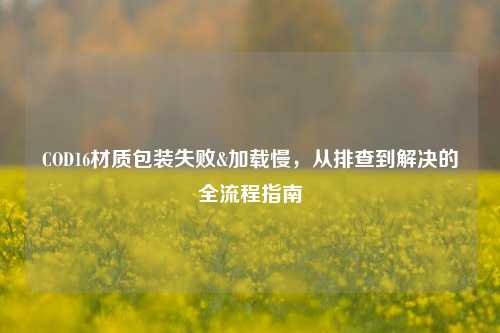 COD16材质包装失败&加载慢,从排查到解决的全流程指南