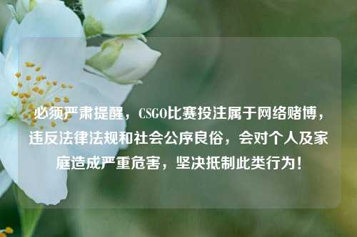 必须严肃提醒,CSGO比赛投注属于 赌博,违反法律法规和社会公序良俗,会对个人及家庭造成严重危害,坚决***此类行为!