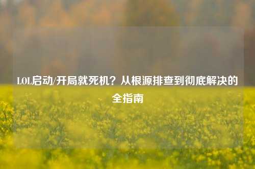 LOL启动/开局就死机?从根源排查到彻底解决的全指南
