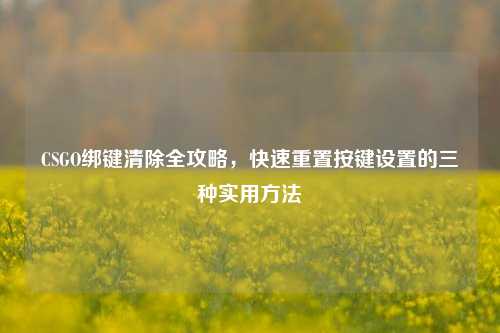 CSGO绑键清除全攻略,快速重置按键设置的三种实用