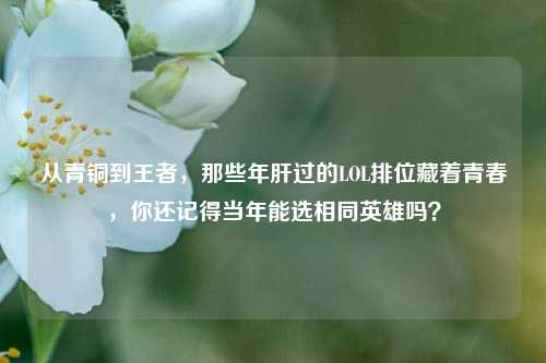 从青铜到王者,那些年肝过的LOL排位藏着青春,你还记得当年能选相同英雄吗?