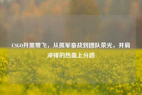 CSGO开黑带飞,从孤军奋战到团队荣光,并肩冲锋的热血上分路