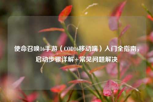 使命召唤16手游(COD16移动端)入门全指南,启动步骤详解+常见问题解决