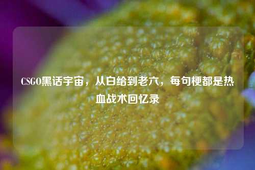 CSGO黑话宇宙,从白给到老六,每句梗都是热血战术回忆录