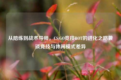 从陪练到战术导师,CS:GO竞技BOT的进化之路兼谈竞技与休闲模式差异