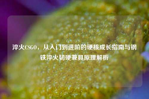 淬火CSGO,从入门到进阶的硬核成长指南与钢铁淬火韧硬兼具原理解析