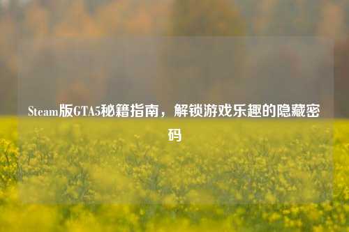 Steam版GTA5秘籍指南,解锁游戏乐趣的隐藏密码