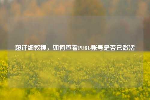 超详细教程,如何查看PUBG账号是否已激活