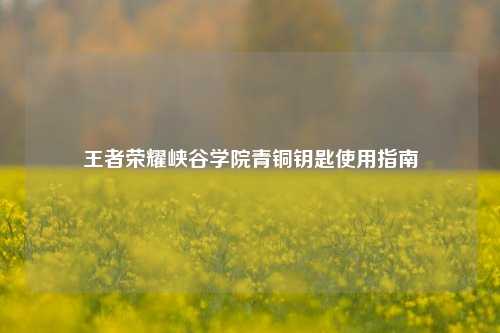 王者荣耀峡谷学院青铜钥匙使用指南