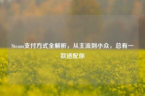 Steam支付方式全解析,从主流到小众,总有一款适配你