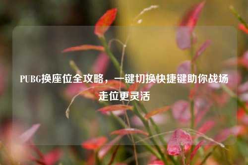 PUBG换座位全攻略,一键切换快捷键助你战场走位更灵活