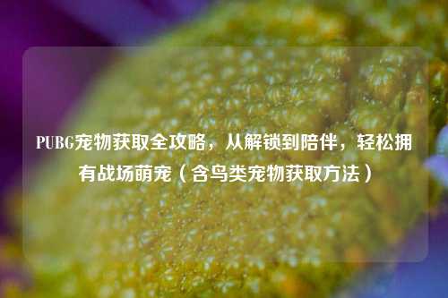 PUBG宠物获取全攻略,从解锁到陪伴,轻松拥有战场萌宠(含鸟类宠物获取 )