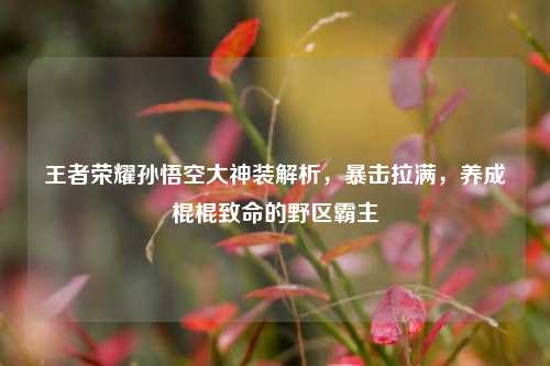 王者荣耀孙悟空大神装解析,暴击拉满,养成棍棍致命的野区霸主