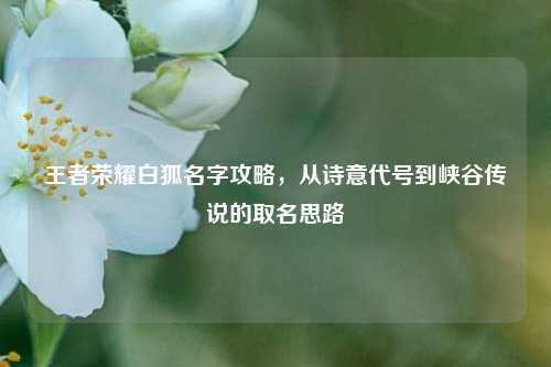王者荣耀白狐名字攻略,从诗意代号到峡谷传说的取名思路