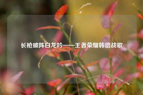 长枪破阵白龙吟——王者荣耀韩信战歌