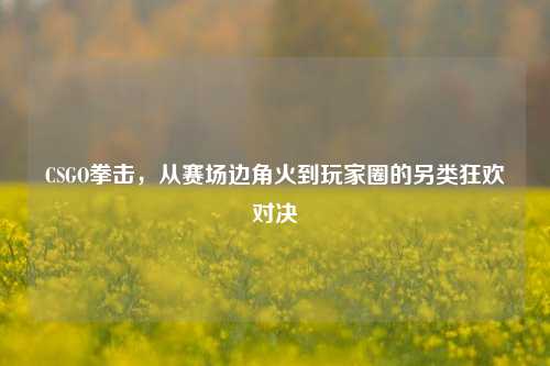 CSGO拳击,从赛场边角火到玩家圈的另类狂欢对决