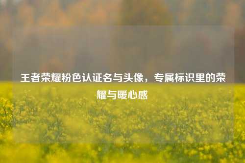 王者荣耀粉色认证名与头像,专属标识里的荣耀与暖心感