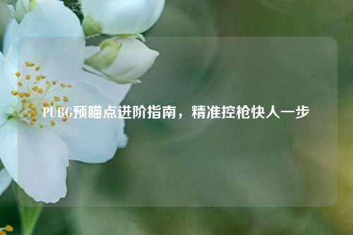 PUBG预瞄点进阶指南,精准控枪快人一步