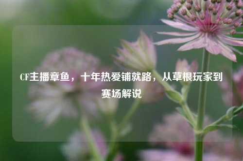 CF主播章鱼,十年热爱铺就路,从草根玩家到赛场解说