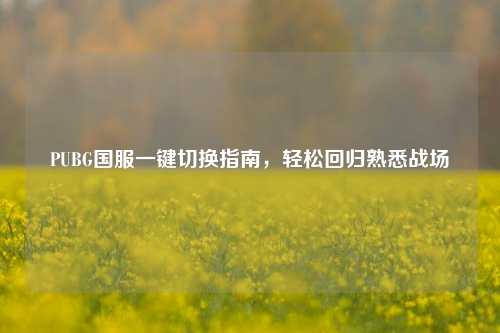 PUBG国服一键切换指南,轻松回归熟悉战场
