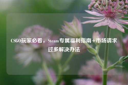 CSGO玩家必看,Steam专属福利指南+市场请求过多解决办法