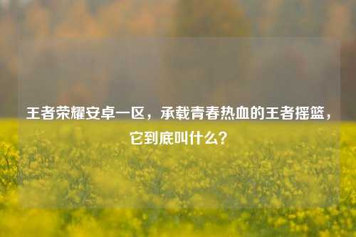 王者荣耀安卓一区,承载青春热血的王者摇篮,它到底叫什么?