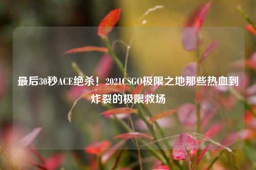 最后30秒ACE绝杀!2021CSGO极限之地那些热血到炸裂的极限救场