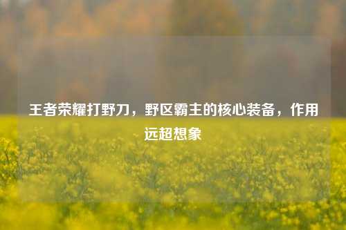 王者荣耀打野刀,野区霸主的核心装备,作用远超想象