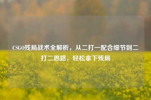 CSGO残局战术全解析,从二打一配合细节到二打二思路,轻松拿下残局