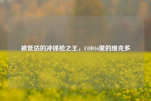 被低估的冲锋枪之王,COD16里的维克多