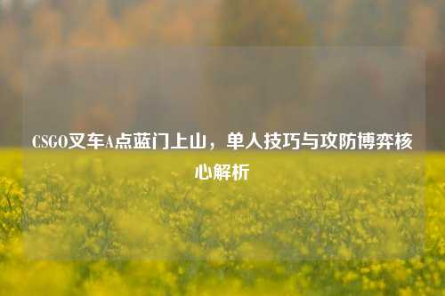 CSGO叉车A点蓝门上山,单人技巧与攻防博弈核心解析