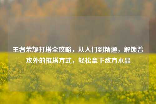 王者荣耀打塔全攻略,从入门到精通,解锁普攻外的推塔方式,轻松拿下敌方水晶