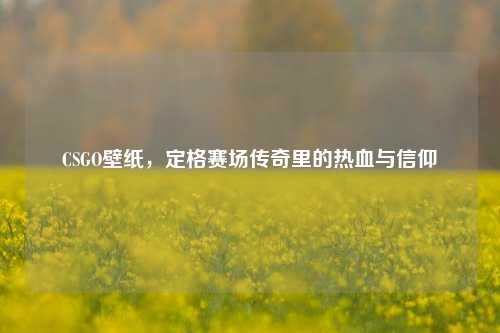 CSGO壁纸,定格赛场传奇里的热血与信仰
