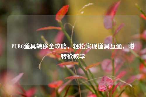 PUBG道具转移全攻略,轻松实现道具互通,附转枪教学
