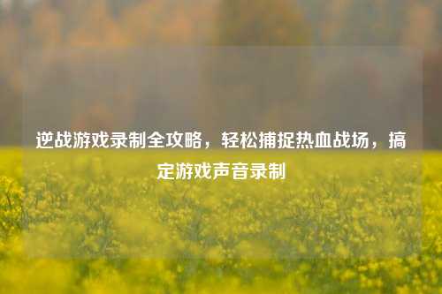 逆战游戏录制全攻略,轻松捕捉热血战场,搞定游戏声音录制