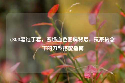 CSGO黑红手套,赛场血色图腾背后,玩家执念下的刀型搭配指南