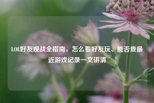 LOL好友观战全指南,怎么看好友玩、能否查最近游戏记录一文讲清