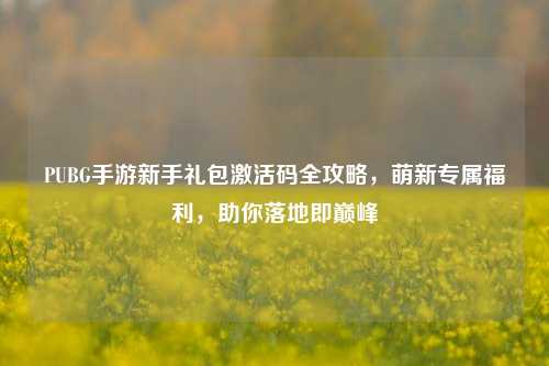 PUBG手游新手礼包激活码全攻略,萌新专属福利,助你落地即巅峰