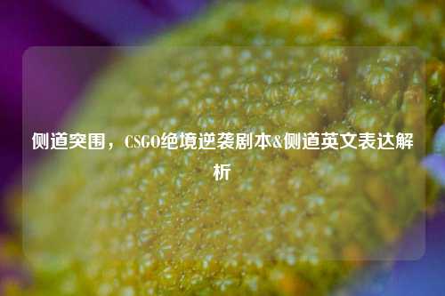 侧道突围,CSGO绝境逆袭剧本&侧道英文表达解析