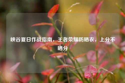 峡谷夏日作战指南,王者荣耀防晒衣,上分不晒分