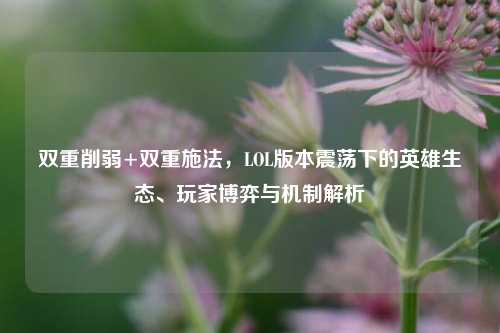 双重削弱+双重施法,LOL版本震荡下的英雄生态、玩家博弈与机制解析