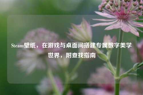 Steam壁纸,在游戏与桌面间搭建专属数字美学世界,附查找指南