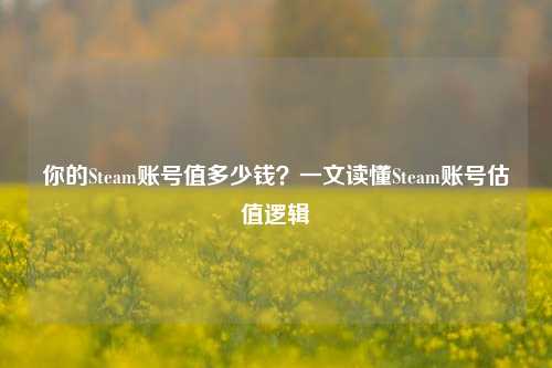 你的Steam账号值多少钱?一文读懂Steam账号估值逻辑