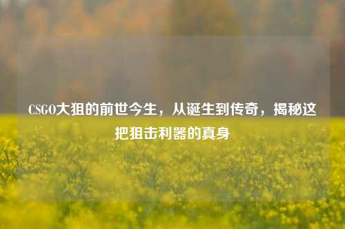 CSGO大狙的前世今生,从诞生到传奇,揭秘这把狙击利器的真身