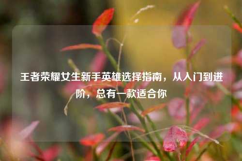 王者荣耀女生新手英雄选择指南,从入门到进阶,总有一款适合你