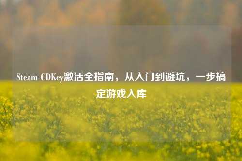 Steam CDKey激活全指南,从入门到避坑,一步搞定游戏入库